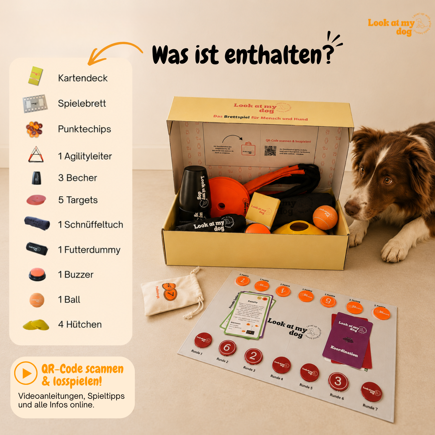 Look at my dog - Das Brettspiel für Mensch und Hund